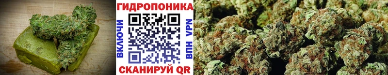 наркота нарко площадка как зайти Cannafood марихуана Люберцы