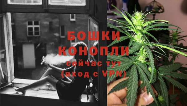 дурь Богородск