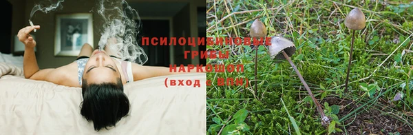мефедрон мука Богданович
